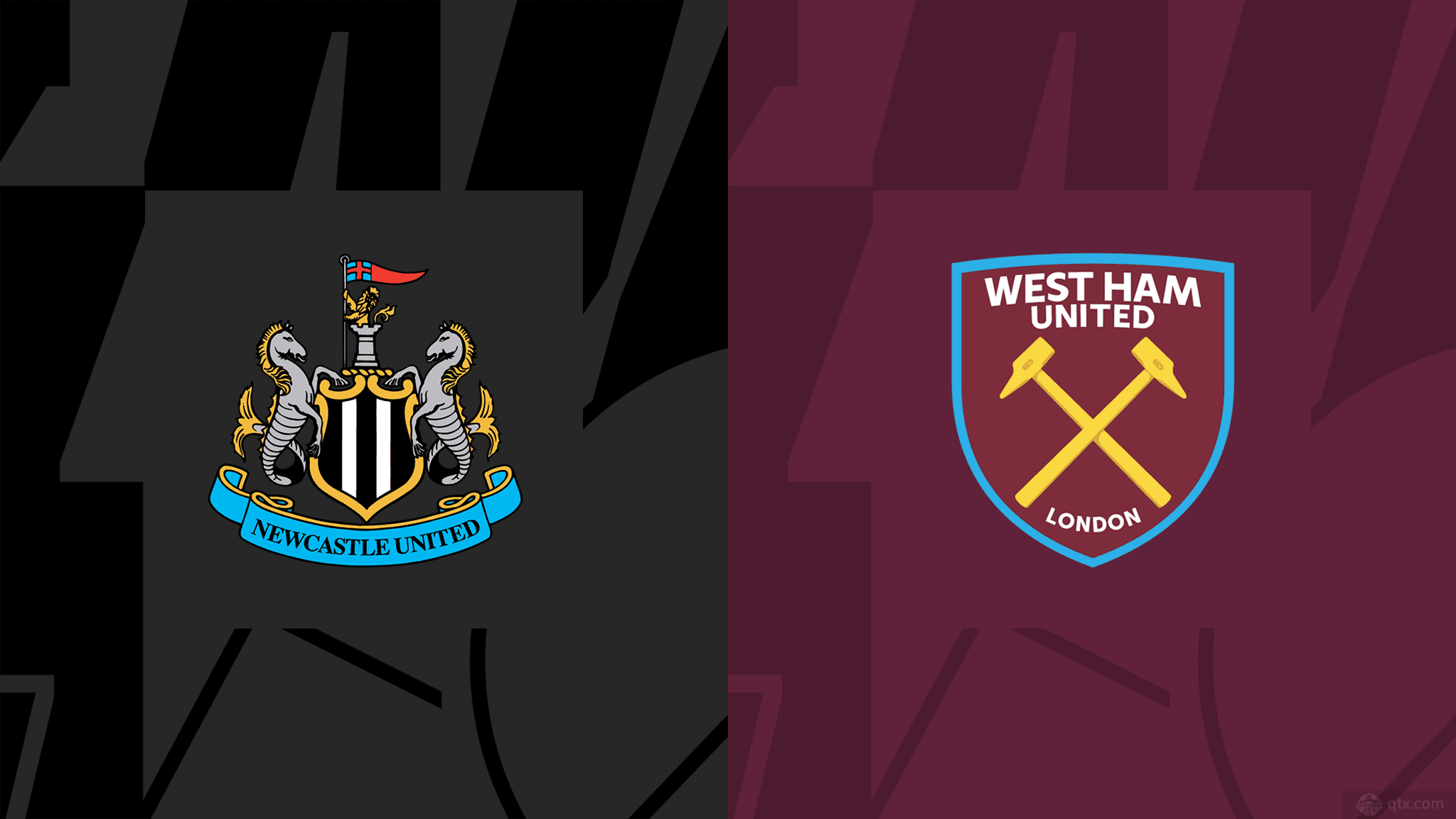 领域发展的 领域发展的